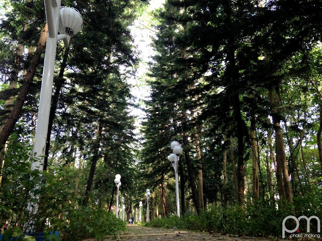 hutan kota malabar malang