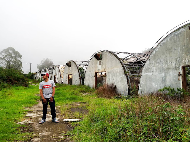 pabrik jamur cangar spot jadul vintage pabrik jamur cangar spot jadul vintage