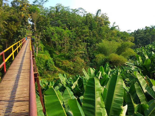 JEMBATAN PELOR DESA GUNUNG RONGGO
