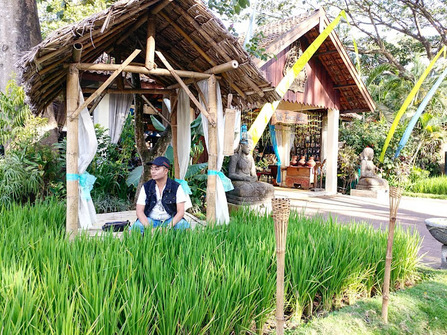 spot foto instagramable tengah sawah spot foto instagramable tengah sawah