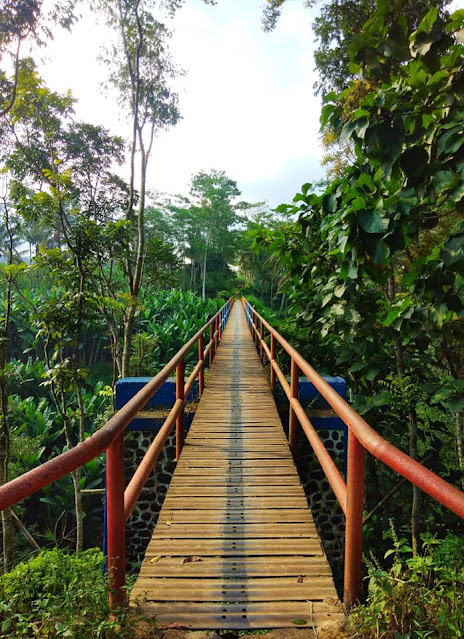 JEMBATAN PELOR DESA GUNUNG RONGGO