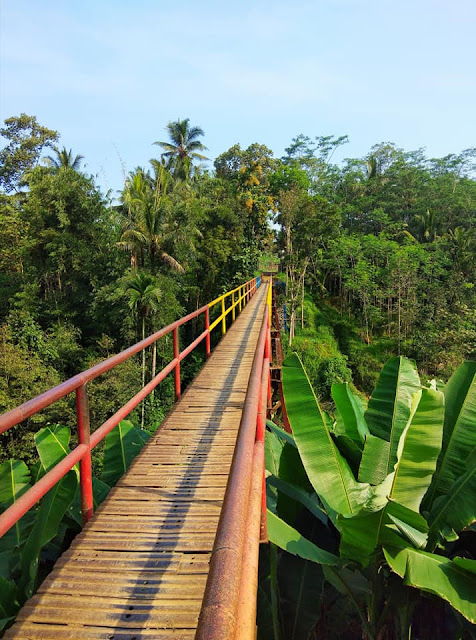JEMBATAN PELOR DESA GUNUNG RONGGO