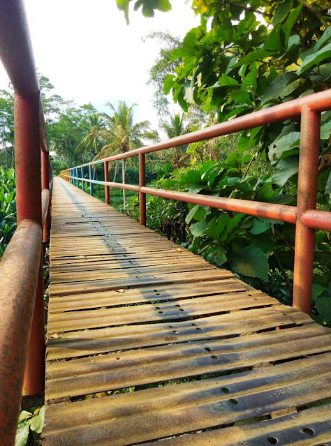JEMBATAN PELOR DESA GUNUNG RONGGO Tajinan
