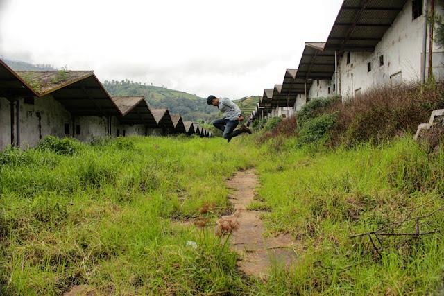bekas pabrik jamur cangar bekas pabrik jamur cangar