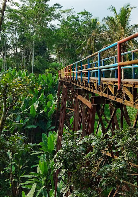 JEMBATAN PELOR DESA GUNUNG RONGGO